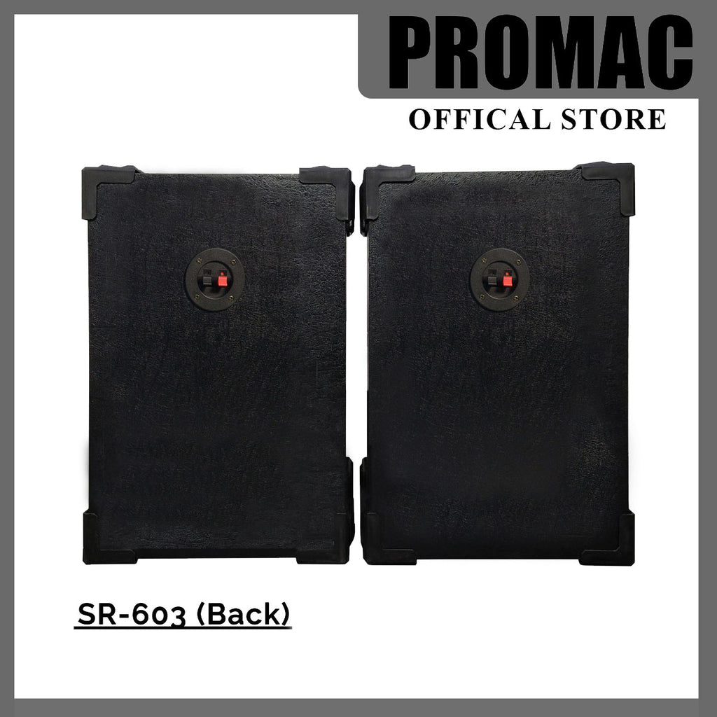 SR-603 6" Passive Speaker System