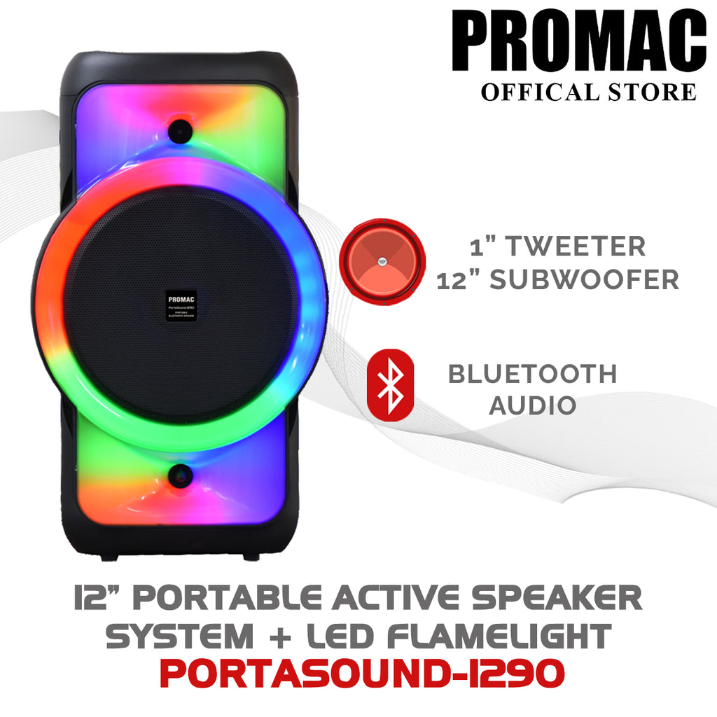 PORTASOUND-1290 12" Portable Active Speaker + LED Flamelight